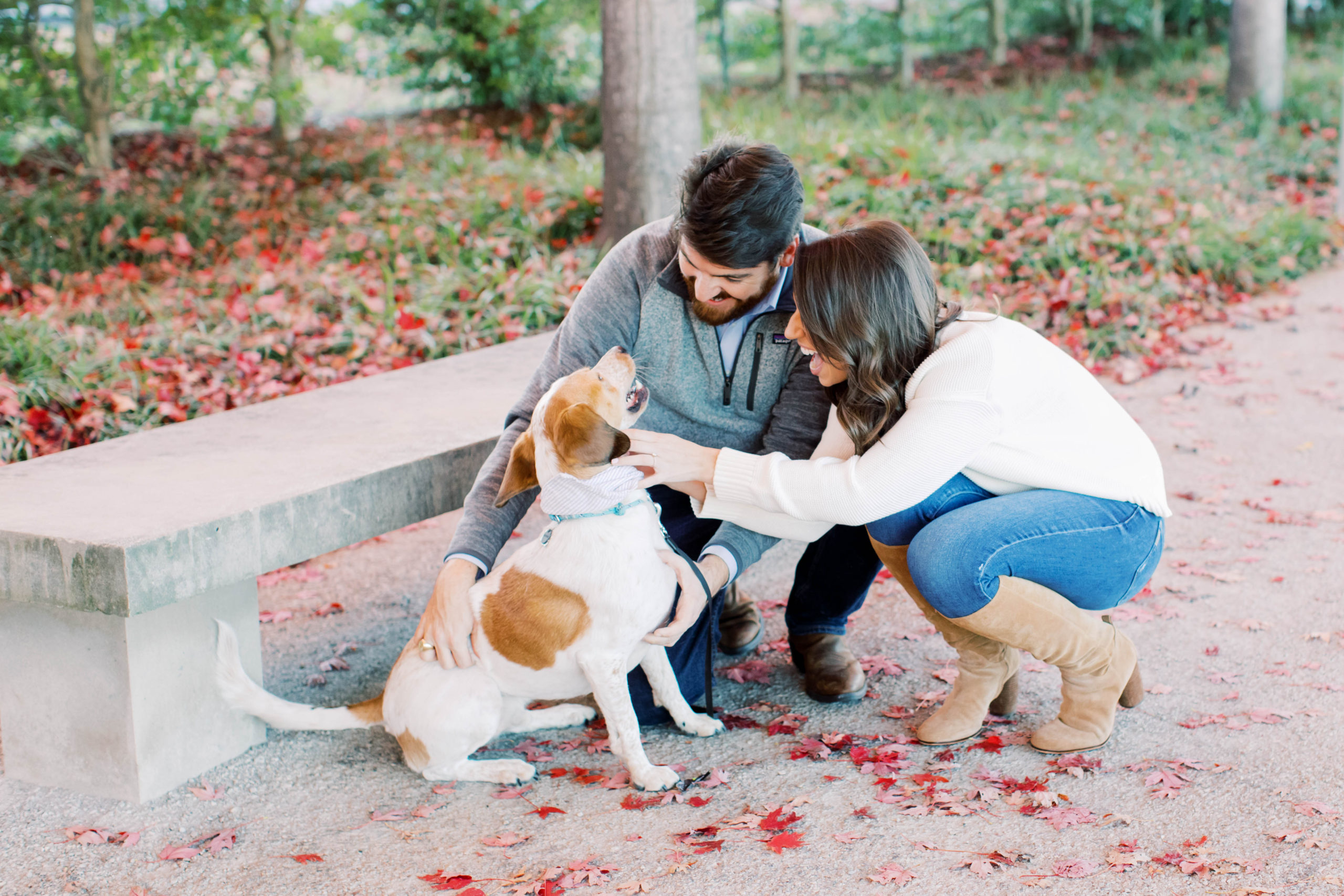 fall engagement session with dog