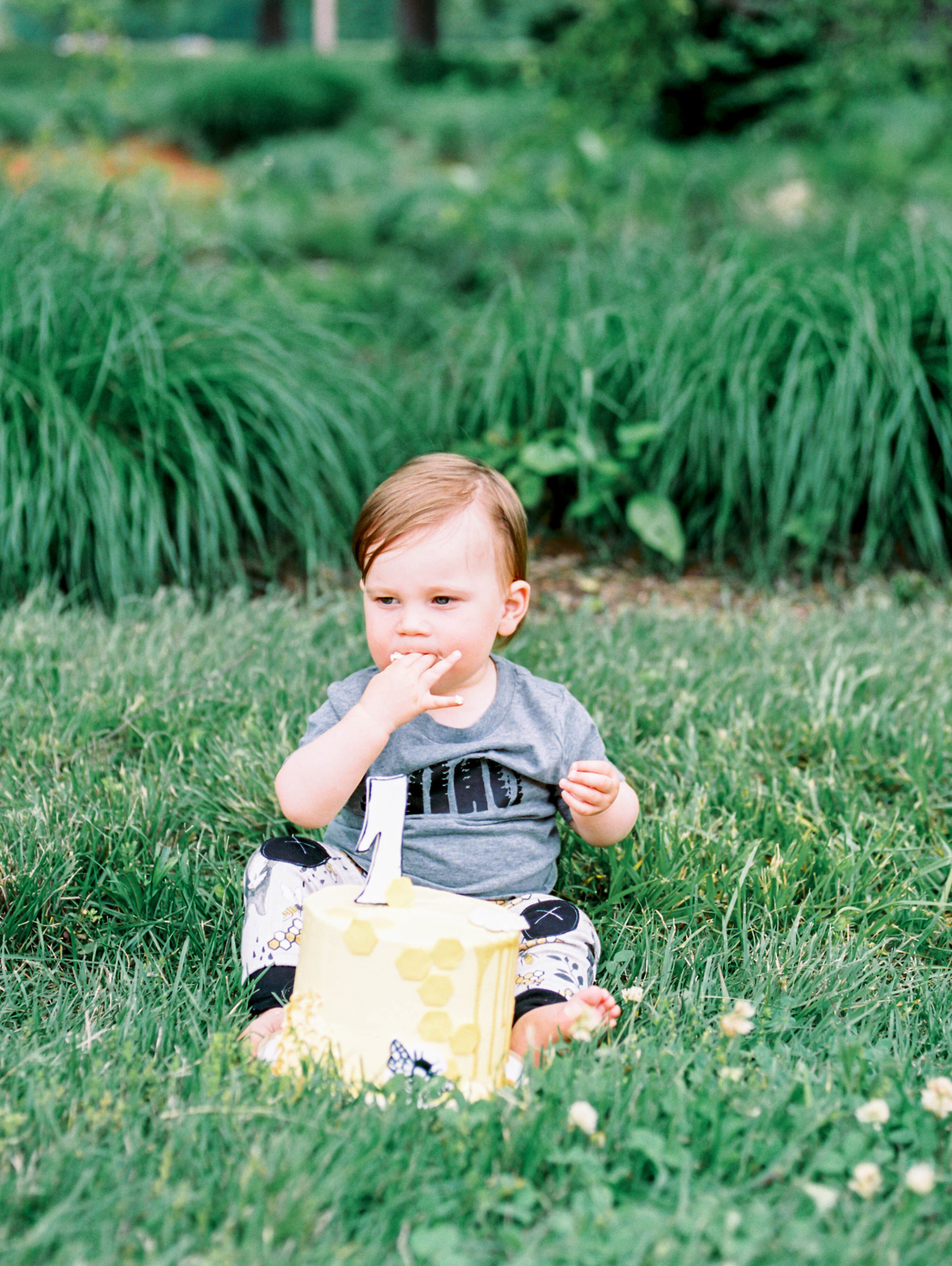 St Louis Forest Park first birthday Cake Smash Family Session