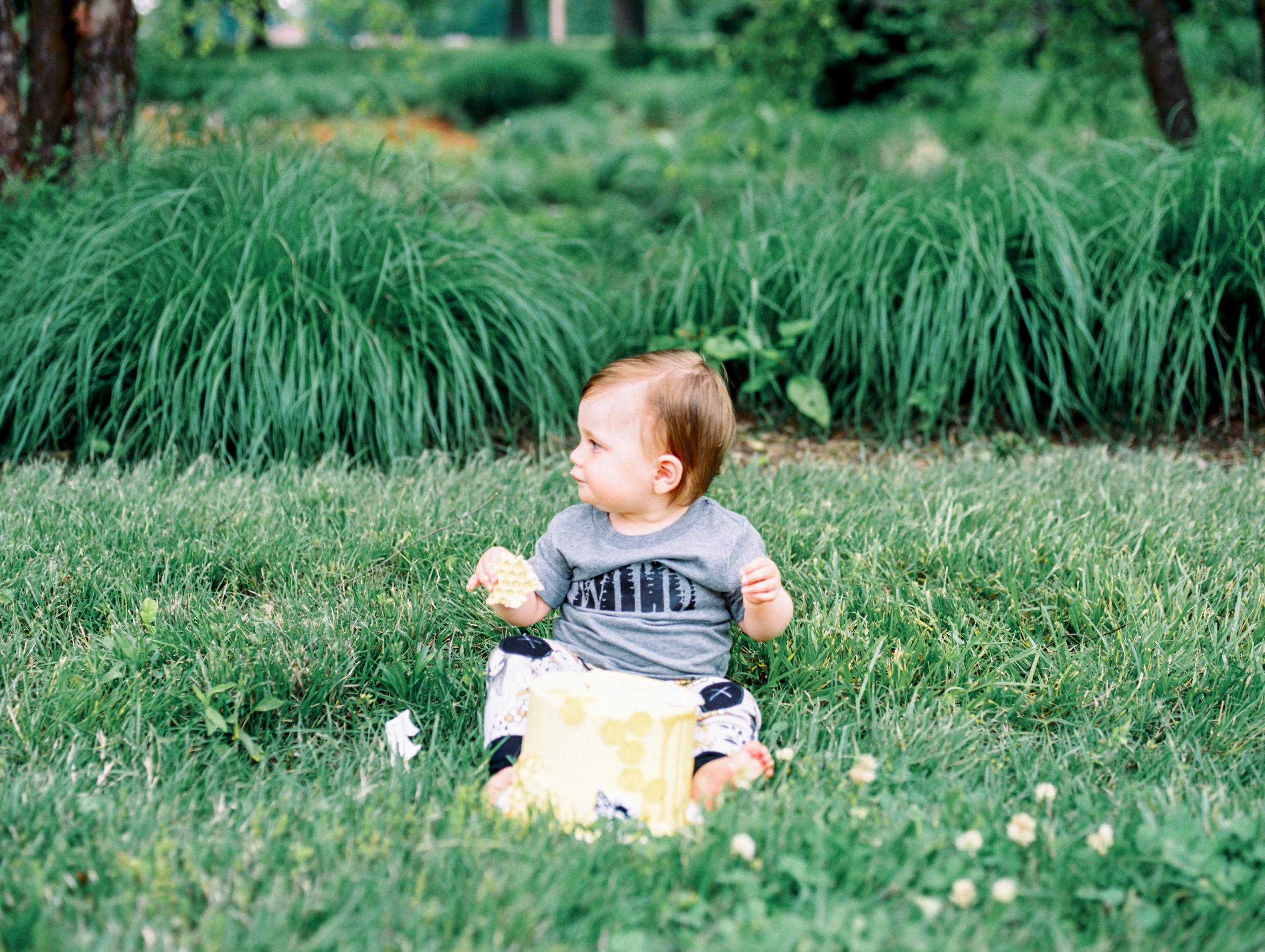 St Louis Forest Park One-Year Cake Smash Session