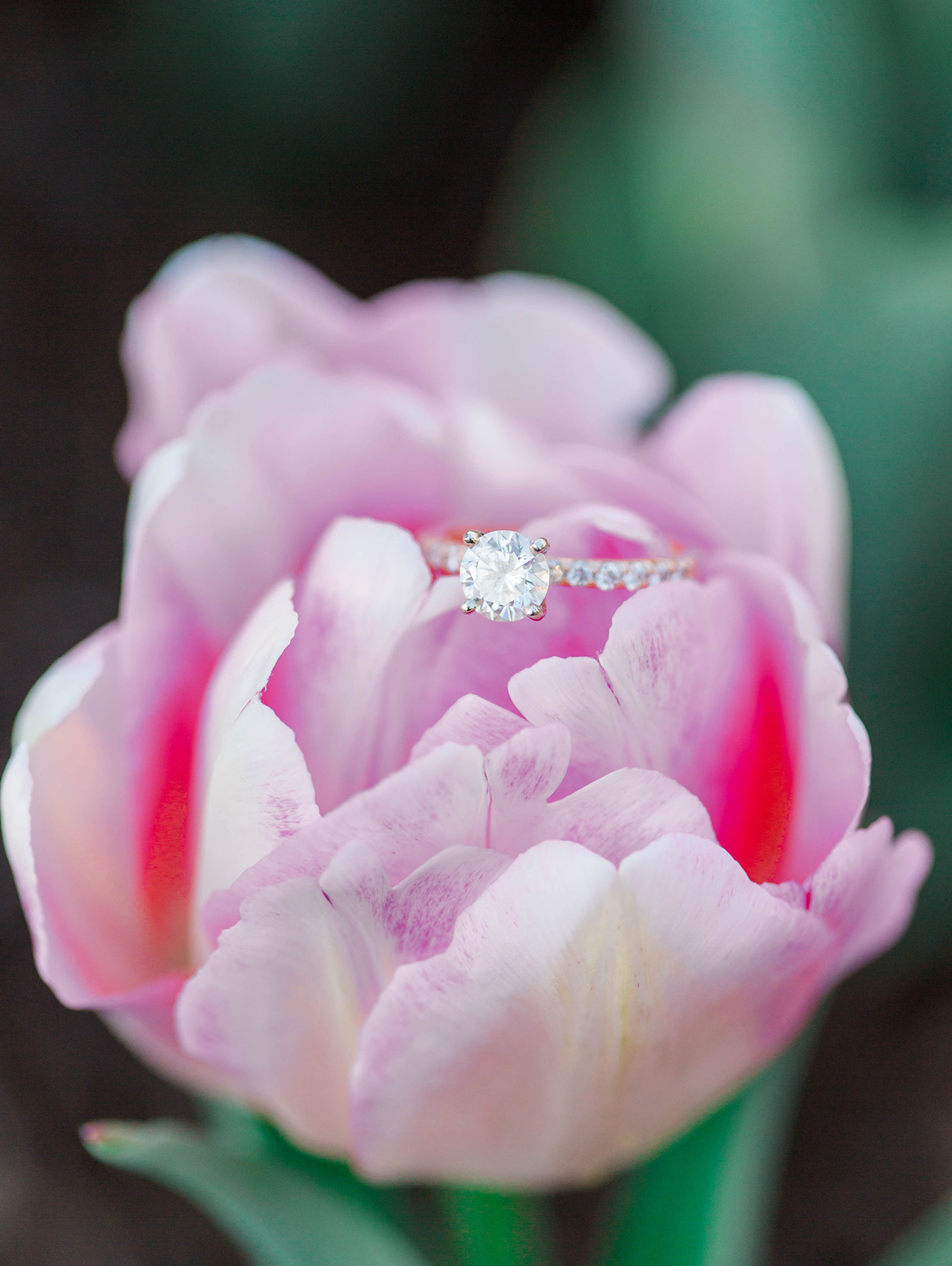 st-louis-wedding-photographer-19