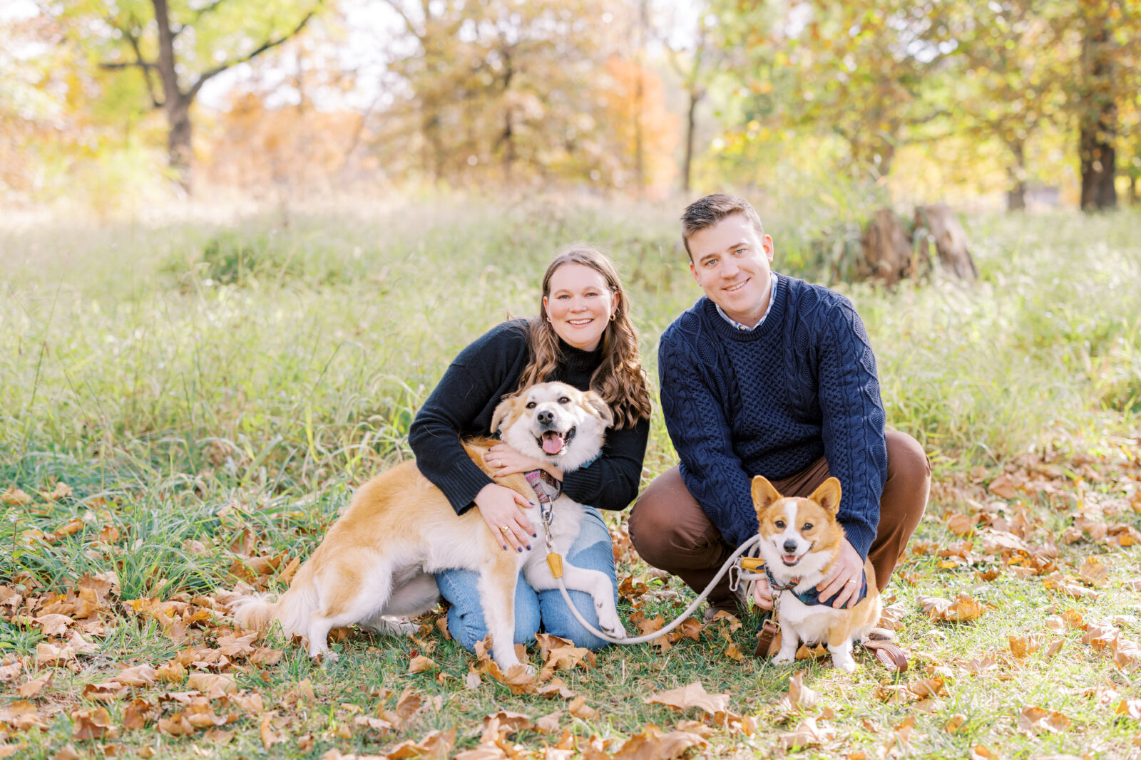 St Louis Forest Park fall mini session with dogs